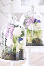 Load image into Gallery viewer, Honua Full Home